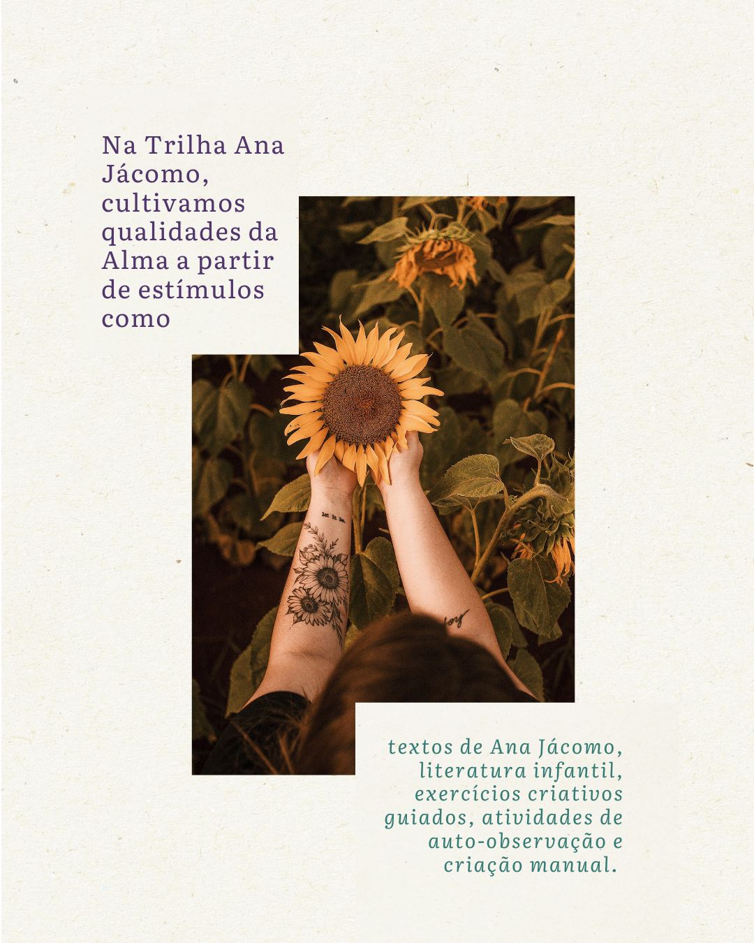 Aquarela de girassol da trilha — 5
